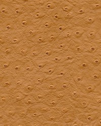 Twitter-nj 295 Autumn by  Duralee 