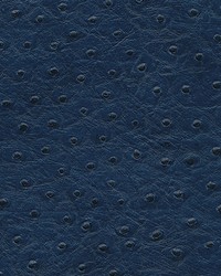 Twitter-nj 296 Niagara by  Duralee 