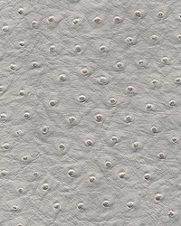 Twitter-nj 297 Horizon by  Duralee 