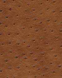 Twitter-nj 300 Ginger by  Duralee 