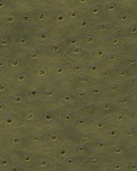 Twitter-nj 302 Sage by  Duralee 