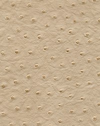 Twitter-nj 305 Husk by  Duralee 