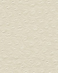 Twitter-nj 306 Daisy by  Duralee 