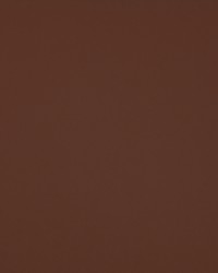 Trailrider 101 Cedar by   