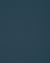 Trailrider 110 Ocean by   