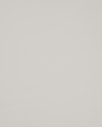 Trailrider 117 White by   