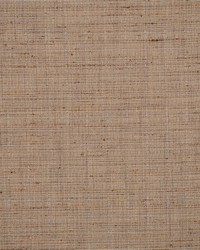 Tyrone 725 Sedona by  Scalamandre 