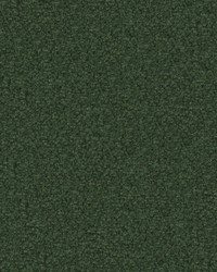 Texel 1017 Evergreen by   