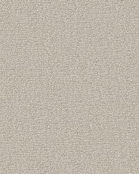 Texel 904 Abalone by   