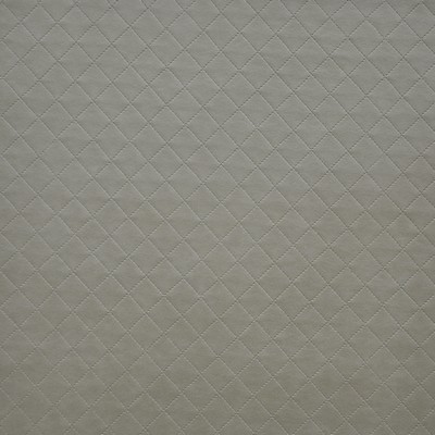 Voila 255 Barley in EASY RIDER V PVC  Blend Fire Rated Fabric High Wear Commercial Upholstery CA 117  NFPA 260   Fabric