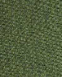 Vibe 008 Clover by  Maxwell Fabrics 