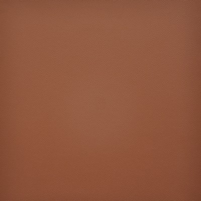 Vesper 226 Persimmon in EASY RIDER VI Orange PVC  Blend Fire Rated Fabric High Wear Commercial Upholstery Vintage Faux Leather CA 117  NFPA 260  Leather Look Vinyl  Fabric