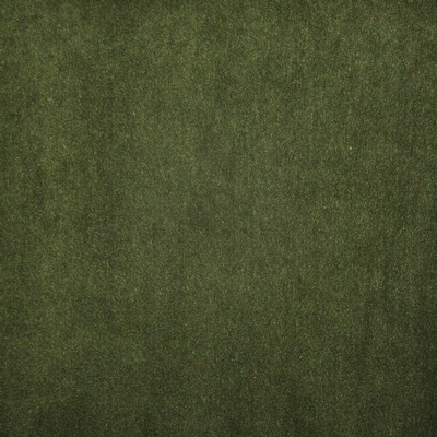 Vera 716 Moss in PERFORMANCE WOVENS-PAINTBRUSH Green Upholstery POLYESTER Heavy Duty Solid Velvet   Fabric