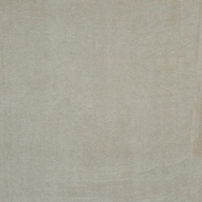 Vera 937 Flax in PERFORMANCE WOVENS-SILVER SUN Beige Upholstery POLYESTER Heavy Duty Solid Velvet   Fabric