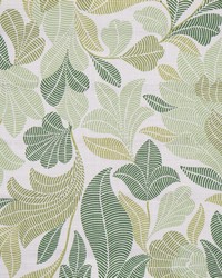 Valiant 352 Mojito by   