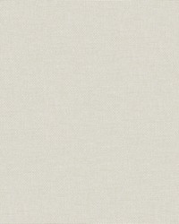 Valentina 101 Meringue by   