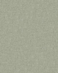 Valentina 113 Seagrass by   