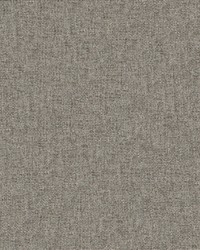 Valentina 155 Pewter by   