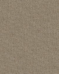 Valentina 156 Beaver by   