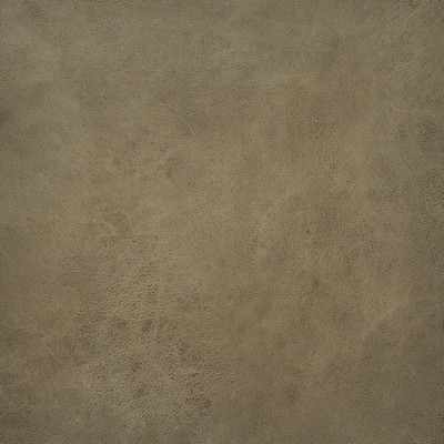 Wadi 131 Camel in COLOR WAVES-NEUTRAL TERRITORY Brown POLYESTER  Blend Fire Rated Fabric Heavy Duty CA 117  NFPA 260   Fabric