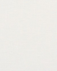 Wolcott 402 White by  Anaglypta 