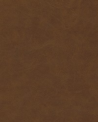 Warden-nj 1001 Saddle by  Duralee 