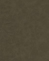 Warden-nj 1003 Pinecone by  Duralee 