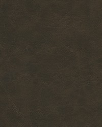 Warden-nj 992 Soot by  Duralee 