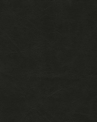 Warden-nj 993 Ink by  Duralee 