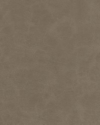 Warden-nj 994 Grey Hound by  Duralee 