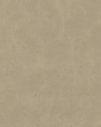 Warden-nj 995 Parchment by  Duralee 