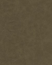 Warden-nj 996 Silt by  Duralee 