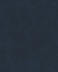 Warden-nj 998 Pacific by  Duralee 