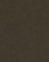 Warden-nj 999 Pathway by  Duralee 