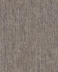 Well Dressed 939 Fossil by   