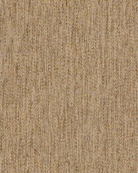 Well Dressed 976 Camel by   