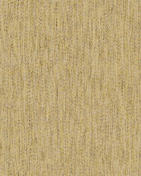 Well Dressed 978 Honey by   