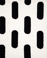 Ximena 435 Zebra by  Robert Allen 