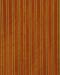 Nitrogen Ginger by  RM Coco 