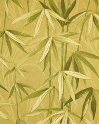 Braswell Khaki by  RM Coco 