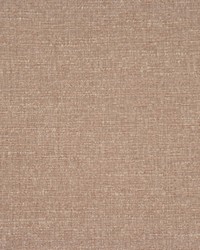 Adaptation Taupe by   