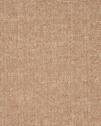 Adaptation Chinchilla by   