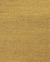 Adaptation Sunflower by   