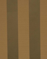 Undercover Willow by   