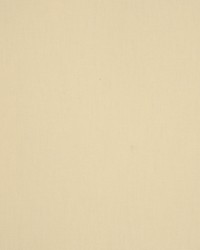 Escapade Champagne by   