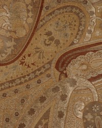 Letterman Coriander by   