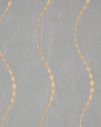 Cache La Poudre Tan by   