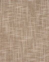 Black Hills Camel by  RM Coco 