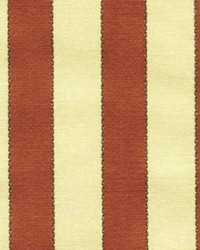 Bear In Mind Sunbaked by   