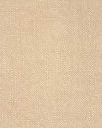 Allegro Taupe by   